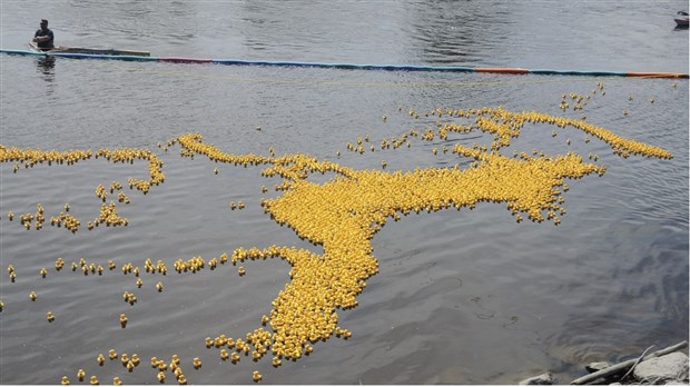 Le CNRB tient sa Grande course de canards Meubles & nous