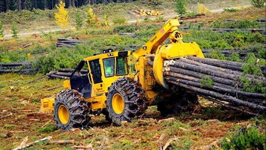 Consultation publique sur le plan d'aménagement forestier 