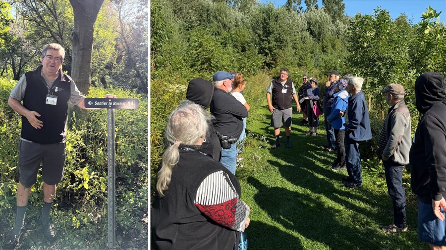 Un tout nouveau sentier pédestre au Domaine Taschereau