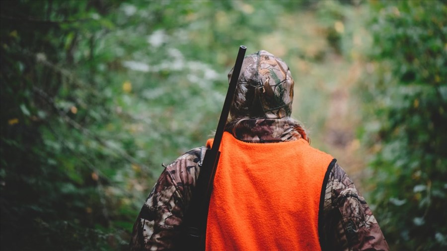 Saison de chasse harmonieuse: partageons le territoire public