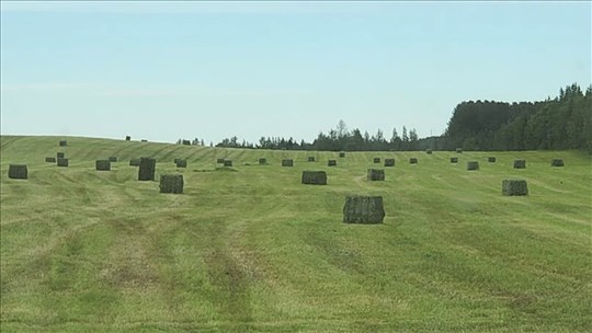 Appel à candidature pour le concours Agricultrice - Fièrement inspirante 2026
