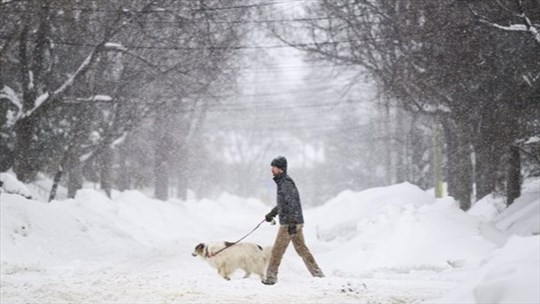 Alertes de froid glacial: le Québec n'y échappe pas