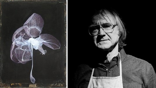 Le Marius B. Musée reçoit l’exposition Exsiccatae de Bill Vincent