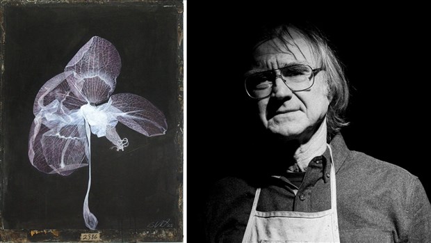 Le Marius B. Musée reçoit l’exposition Exsiccatae de Bill Vincent