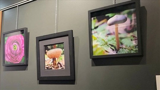 Février sera bien animé à la bibliothèque Madeleine-Doyon