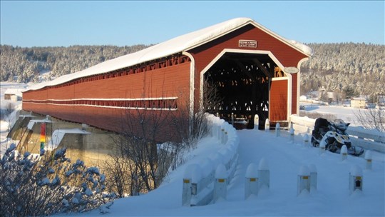 Cinq activités à venir pour les fêtes du centenaire