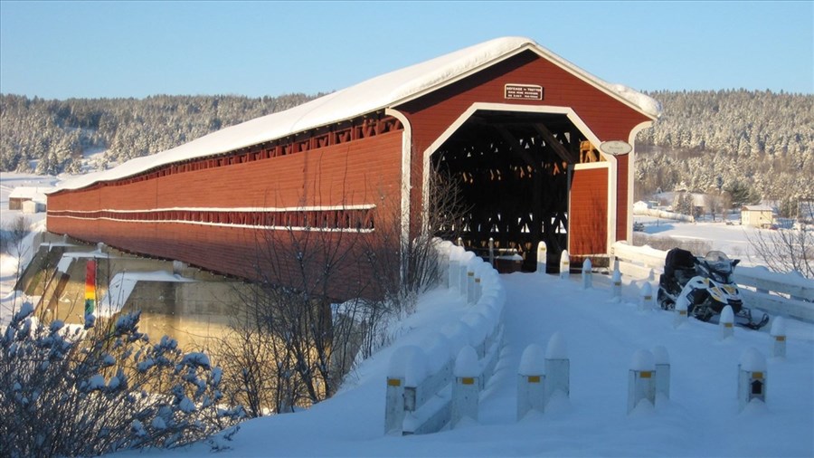 Cinq activités à venir pour les fêtes du centenaire