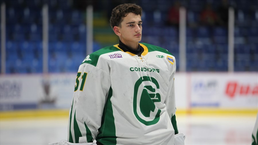 Une semaine en deux temps pour les Condors à domicile