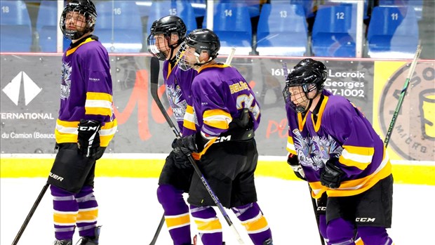 Ligue M25: le Paw Paw Saint-Georges en échappe une