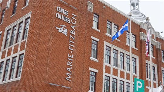 Sondage sur les habitudes culturelles