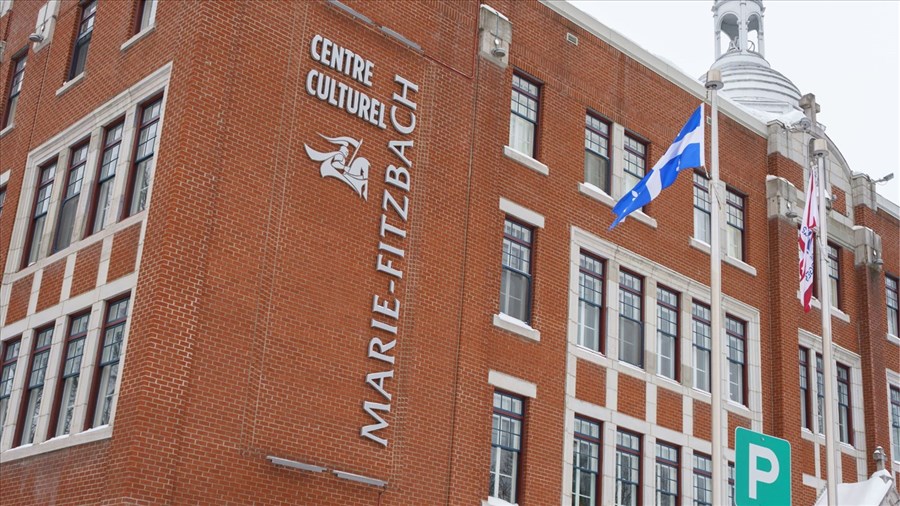 Sondage sur les habitudes culturelles