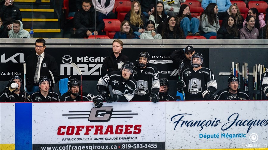 La Ligue régionale de hockey aura des nouveaux champions en 2026