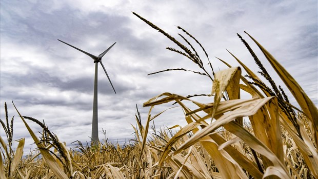 Des agriculteurs demandent à Hydro-Québec de suspendre son appel d'offres éolien