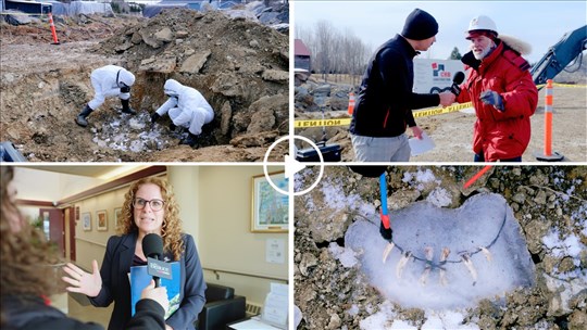 Des « hommes des cavernes » retrouvés dans la glace sur un chantier à Saint-Georges