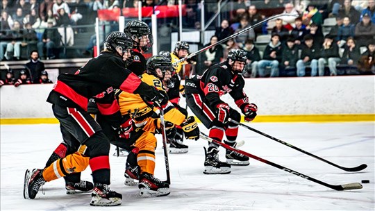 Les Chevaliers retrouveront leurs partisans mercredi