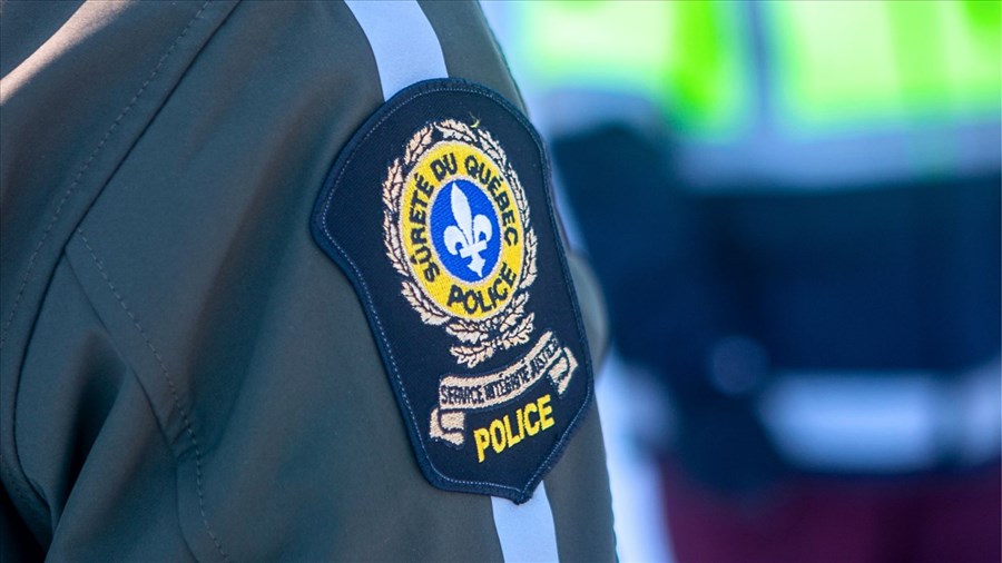 Septuagénaire retrouvée dans une piscine: la coroner conclu à un accident