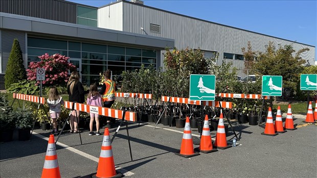 Plus de 200 arbres seront attribués cet automne