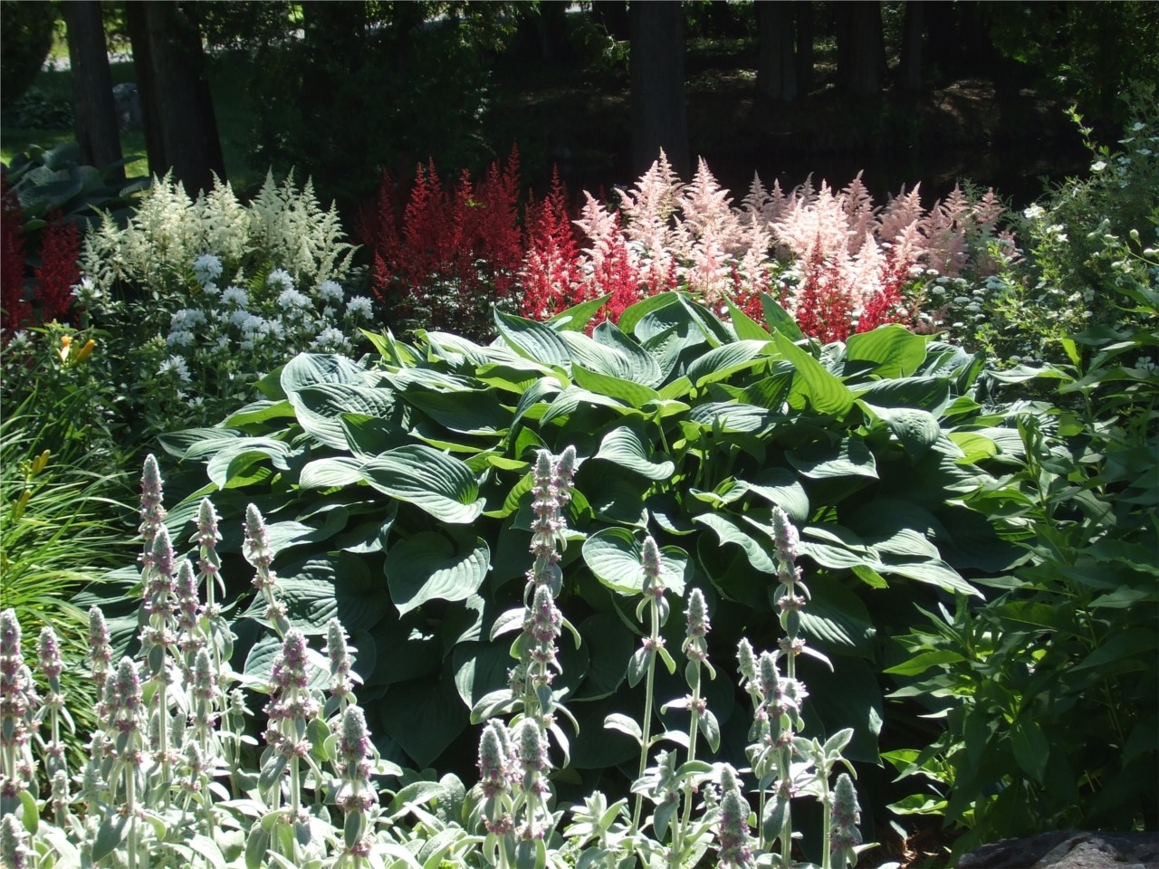 Osta Sum and Substance